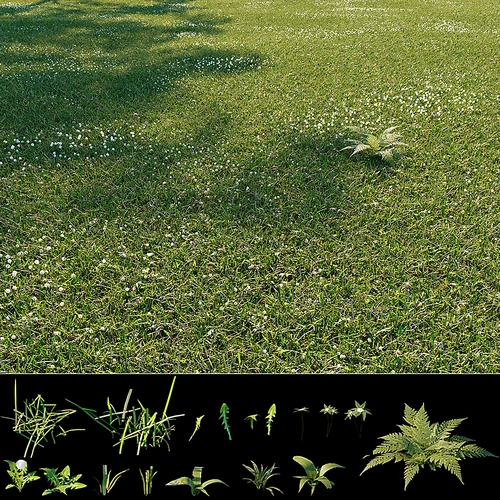 现代绿茵草坪草地