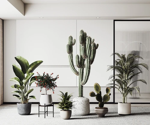 现代绿植盆栽