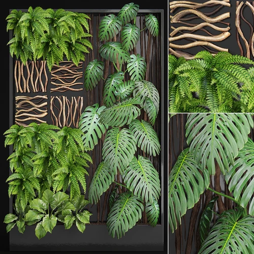 现代蕨类植物墙
