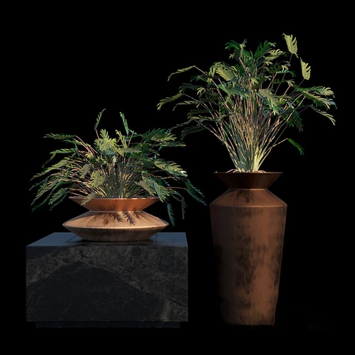 现代热带雨林植物盆栽