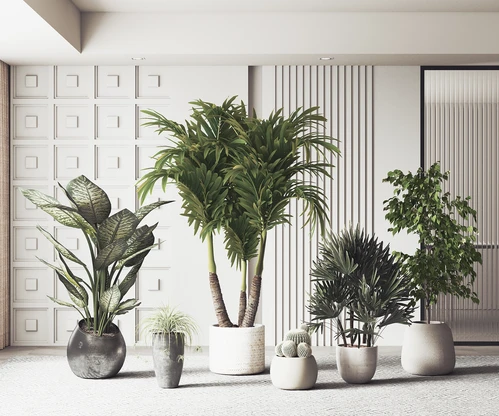 现代绿植盆栽