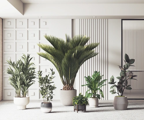 现代绿植盆栽