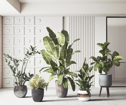 现代绿植盆栽