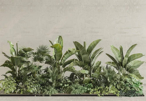 现代植物堆