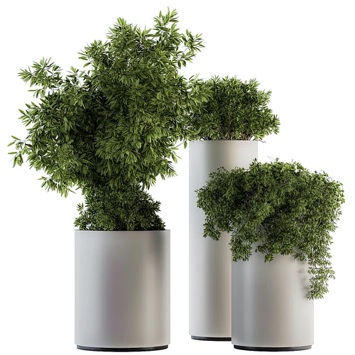 现代绿植盆栽