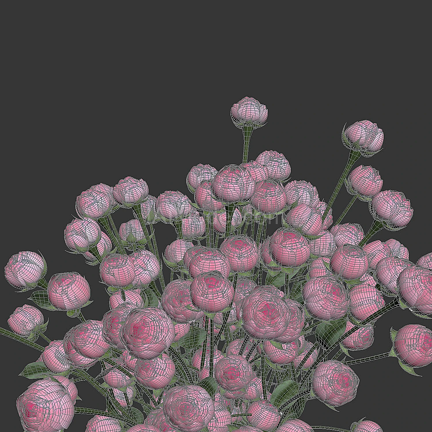 img3