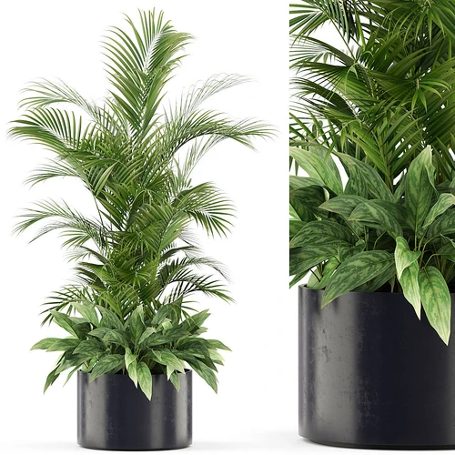 现代绿植盆栽