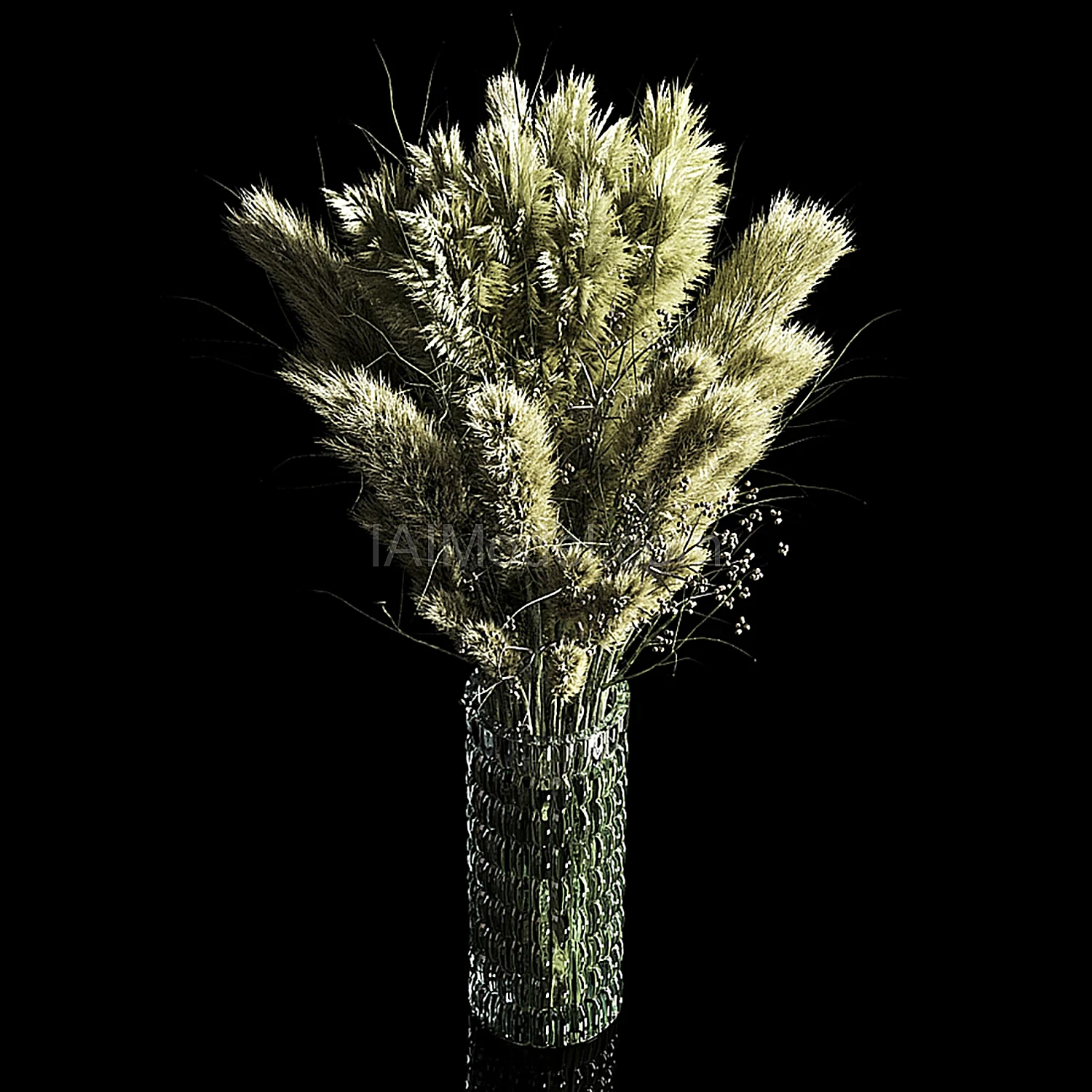 img2