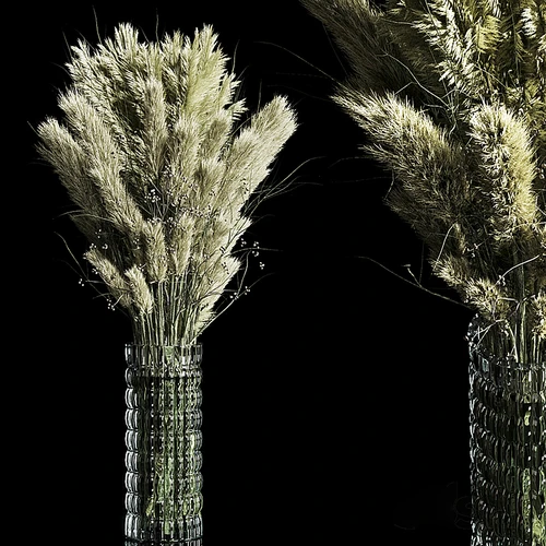 Dry Plants pampas Bouquet 室内玻璃花瓶