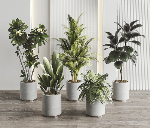 现代植物盆栽组合