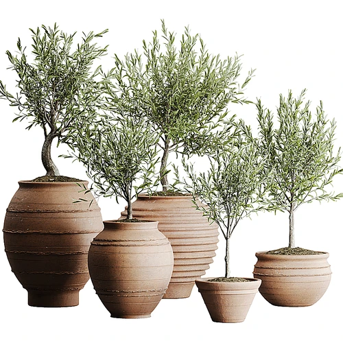 户外植物套装