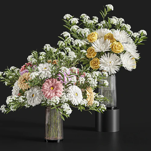 非洲菊菊花