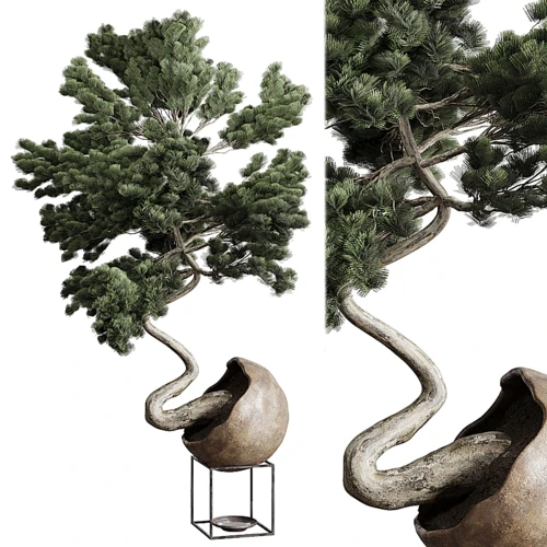 新中式绿植盆栽