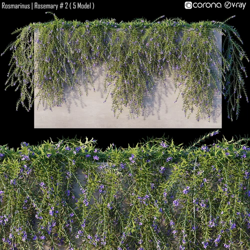 现代植物墙盆栽花基