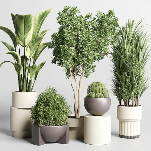 现代绿植盆栽