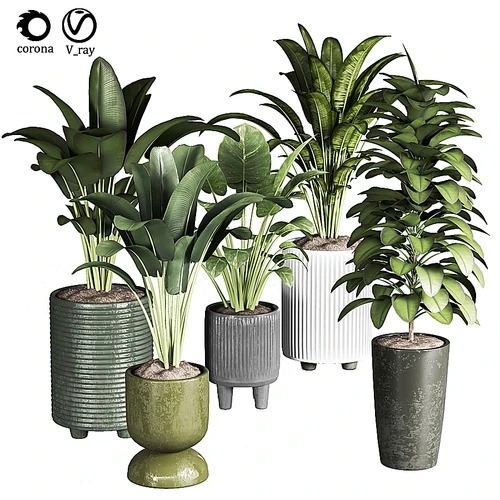现代绿植盆栽