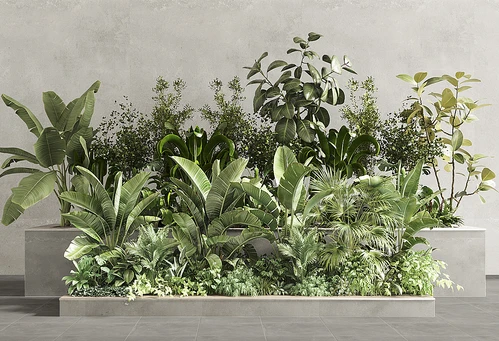 现代植物堆植物墙