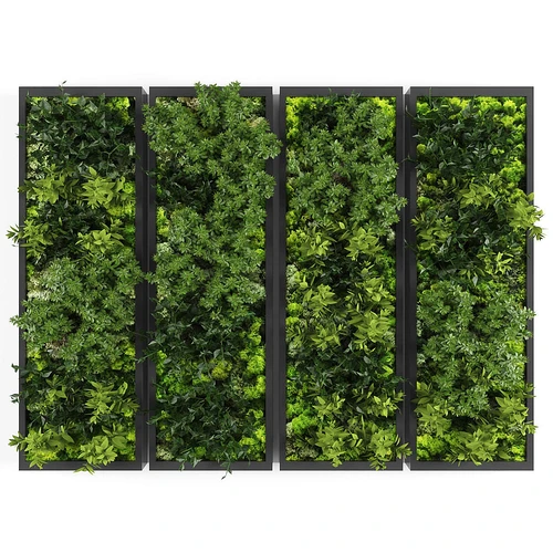 现代植物墙