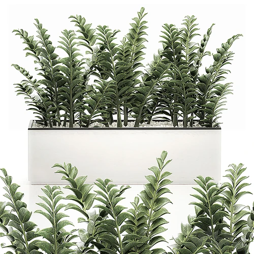 现代室内植物盆栽