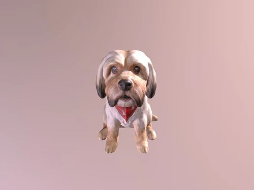 宠物狗