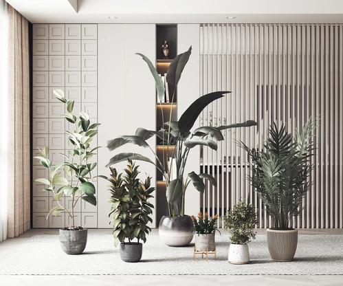 现代绿植盆栽