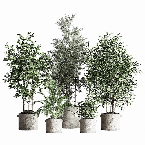 现代绿植盆栽