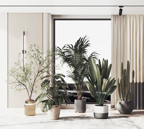 现代绿植摆件