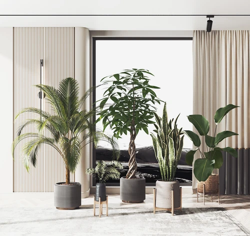 现代绿植盆栽