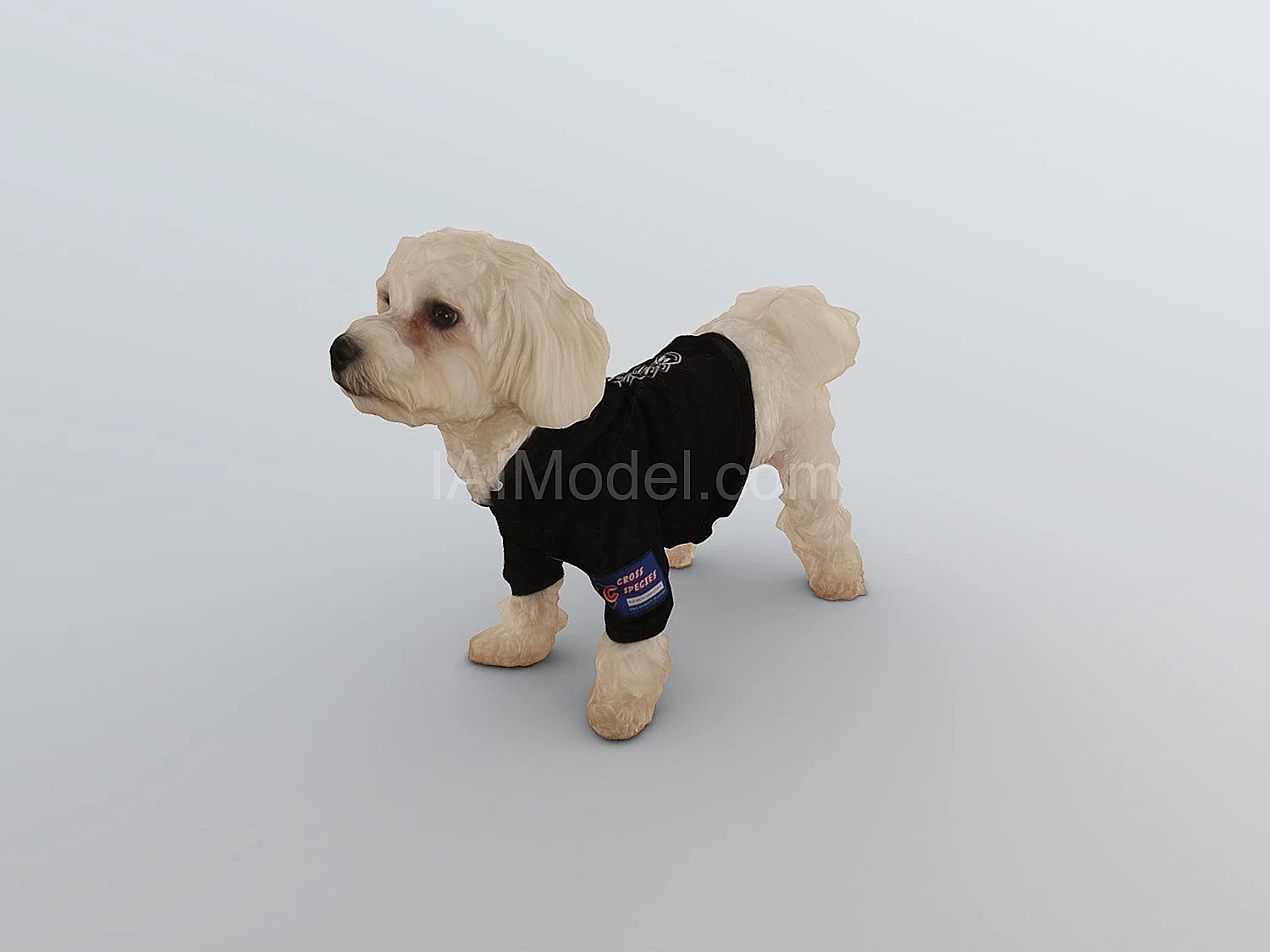 img1