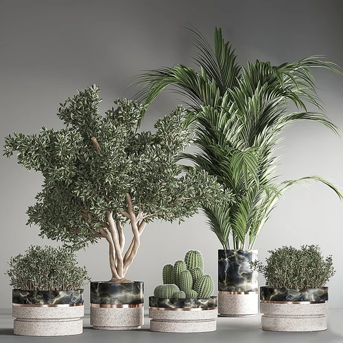 现代绿植盆栽