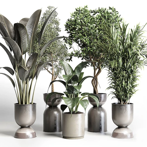 现代绿植盆栽