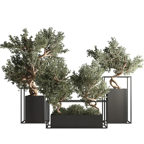 现代绿植盆栽