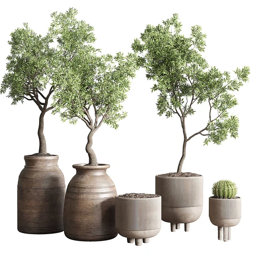 现代绿植盆栽组合