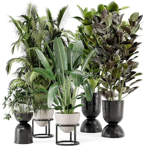 现代绿植盆栽组合