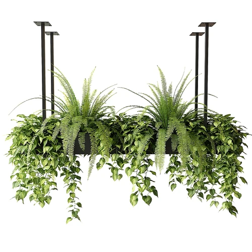 现代植物吊篮