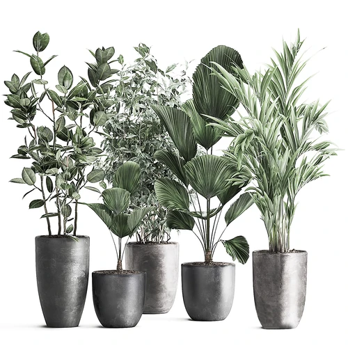 现代绿植盆栽