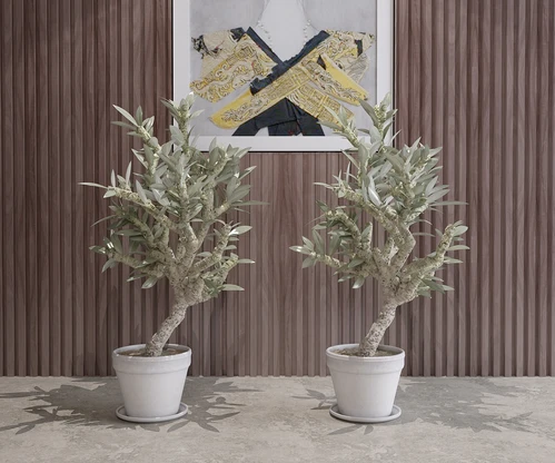 现代风格植物