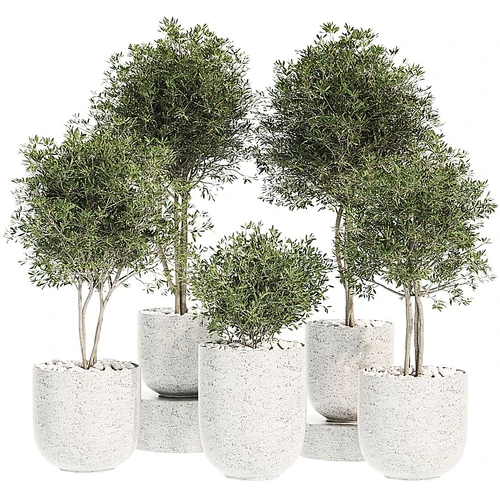 现代植物盆栽组合