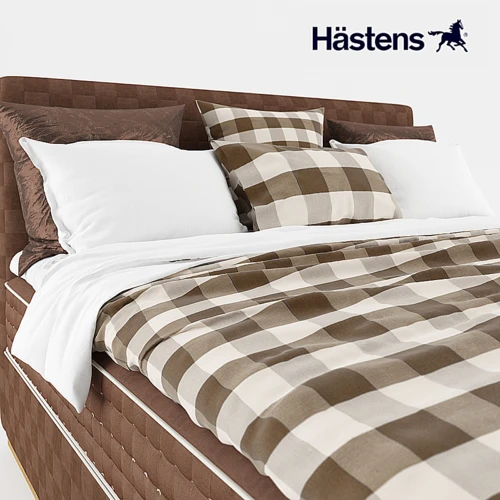 HASTENS 床