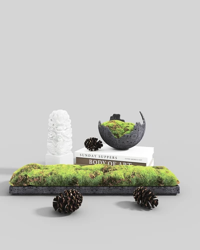 现代苔藓饰品