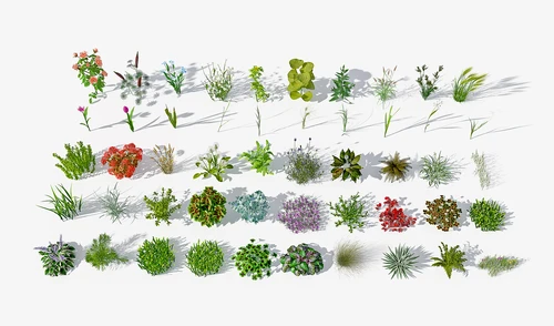 现代植物花草