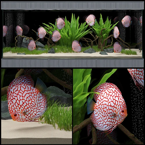 现代水族鱼缸