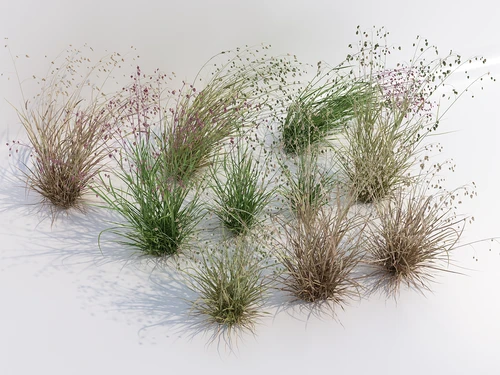 现代风格绿植草