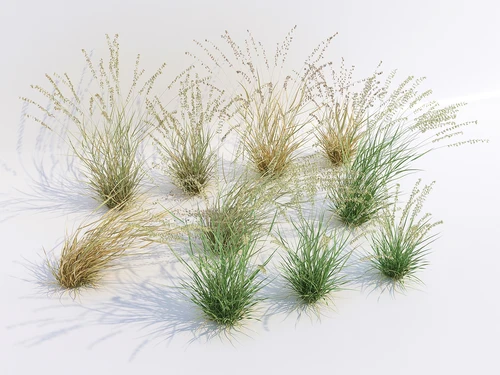 现代风格绿植草