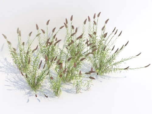 现代风格绿植草