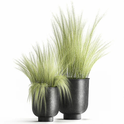 现代植物盆栽