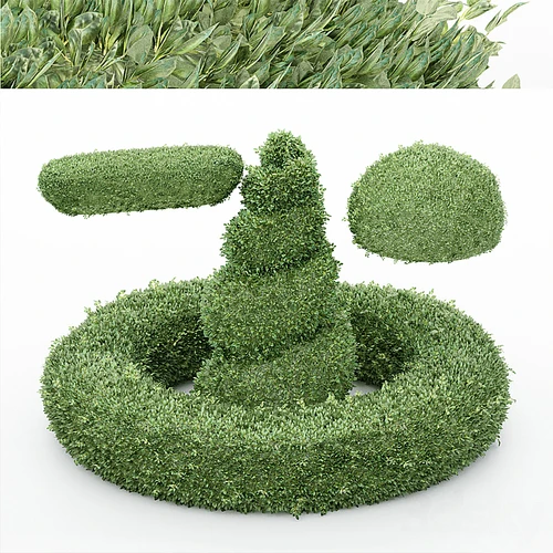 现代植物灌木