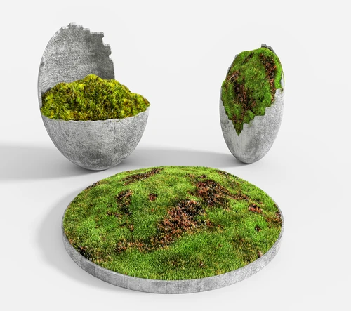 现代苔藓盆景