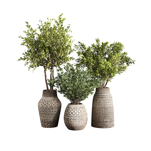 现代植物