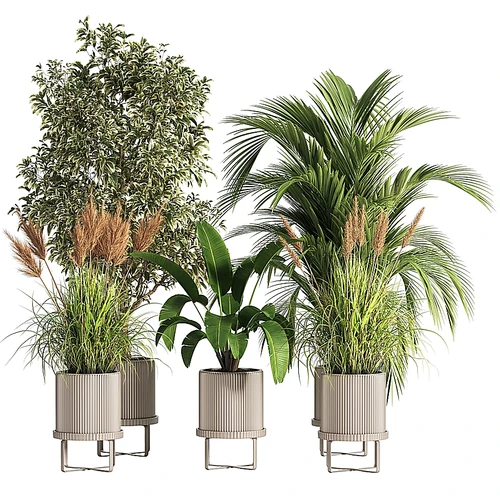 现代绿植盆栽组合